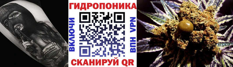 Каннабис White Widow  купить закладку  Пятигорск 